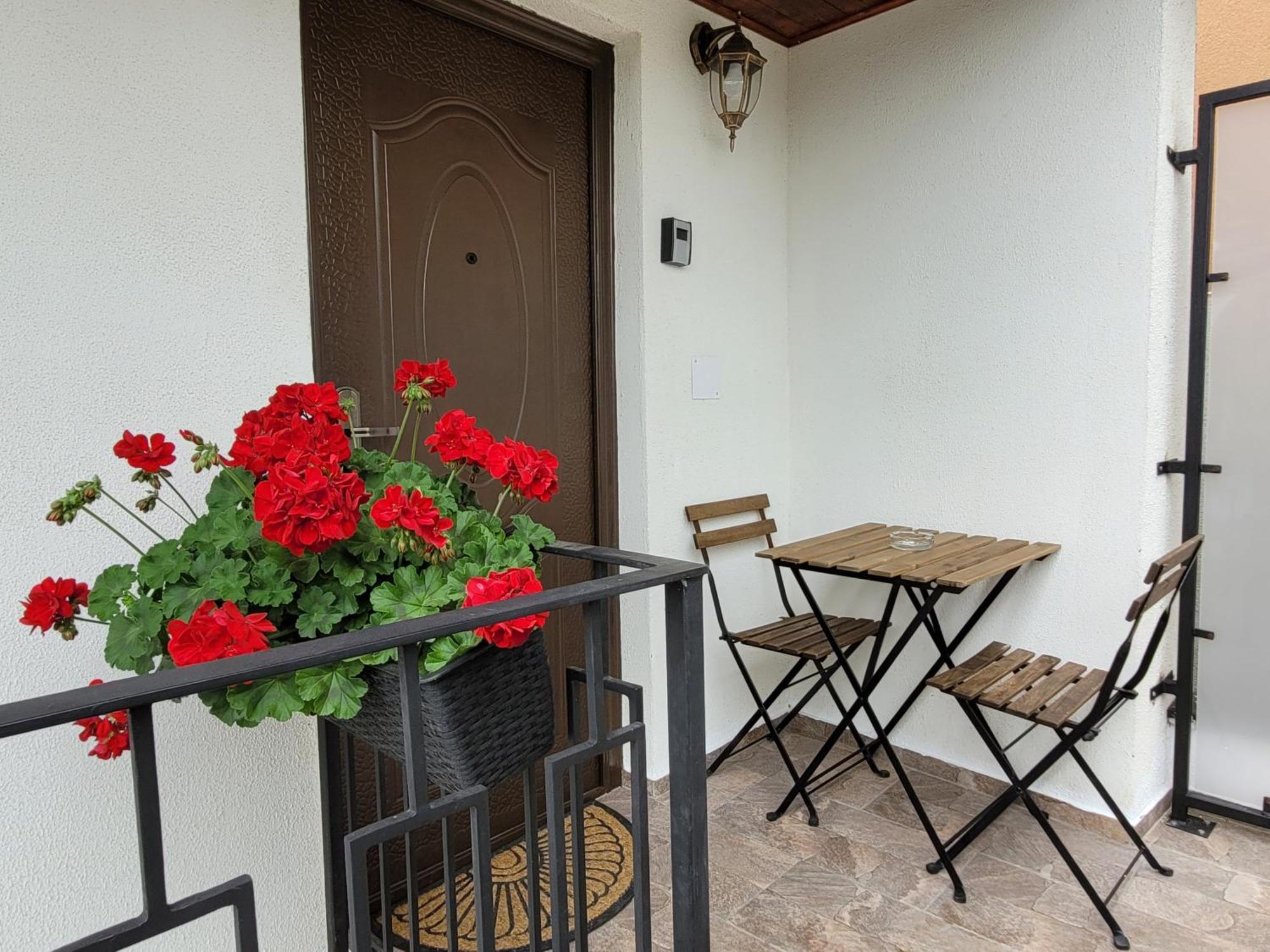 布加勒斯特Rose Garden House公寓 外观 照片